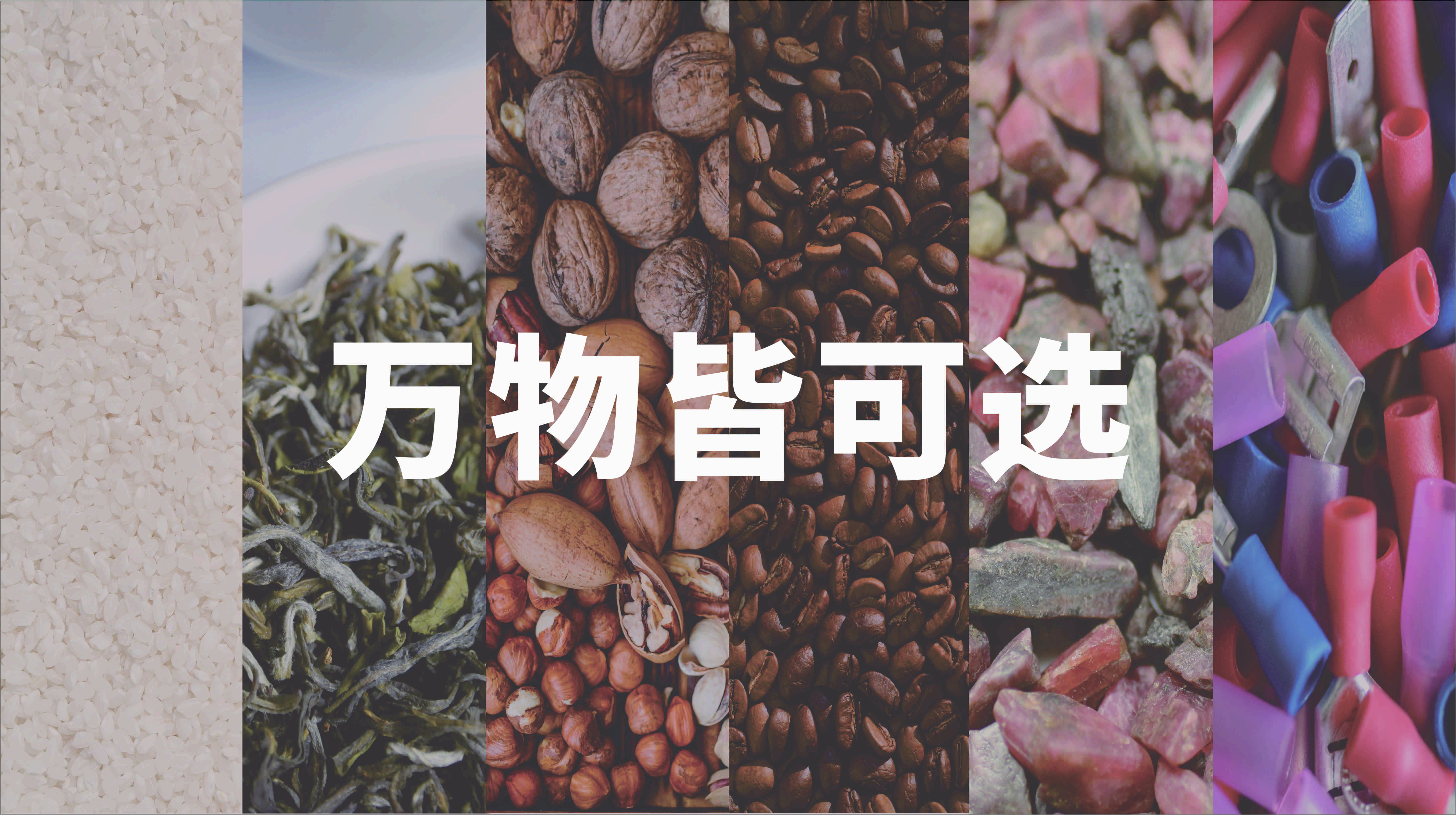 色选应用